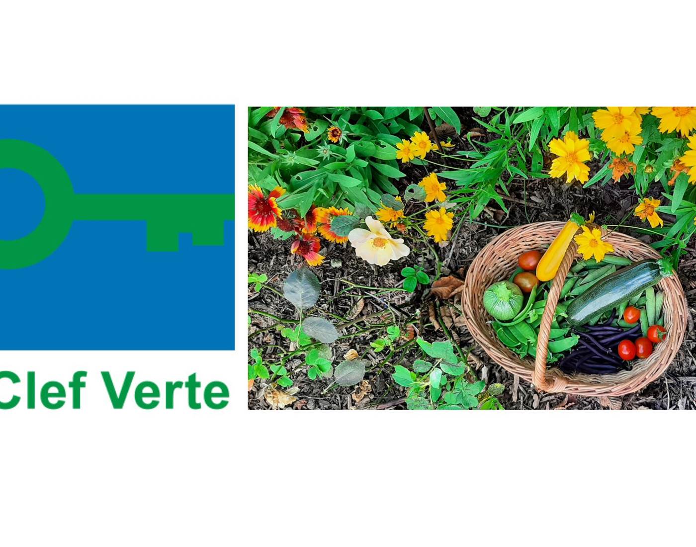 Tourisme responsable