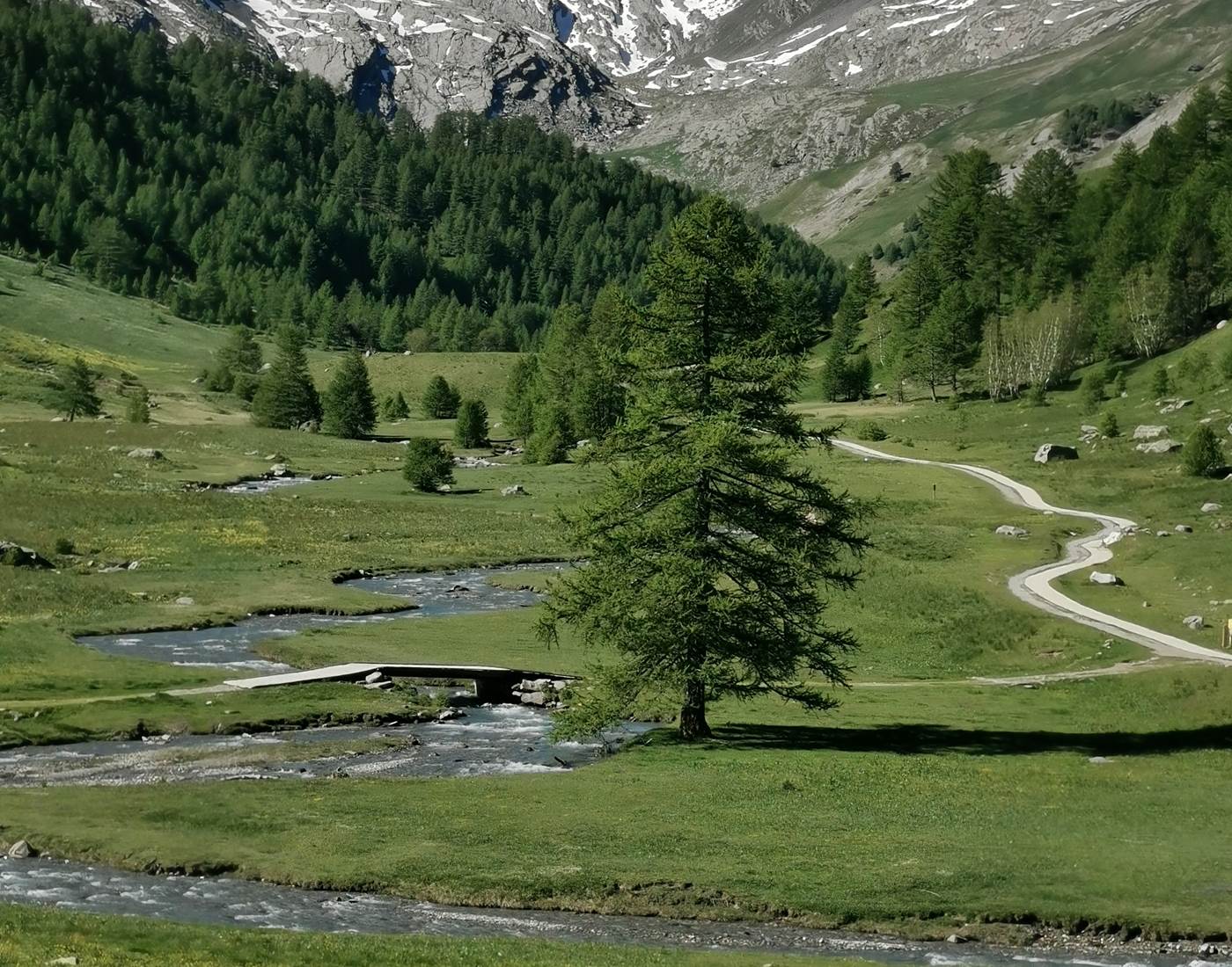 Le vallon du Lauzanier