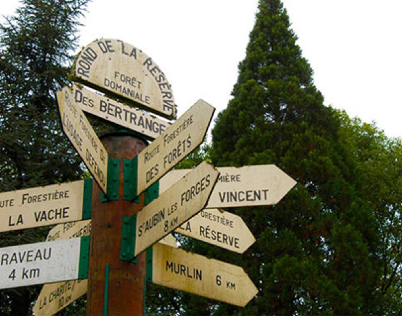 Rond point de « La Réserve » – Forêt des Bertranges