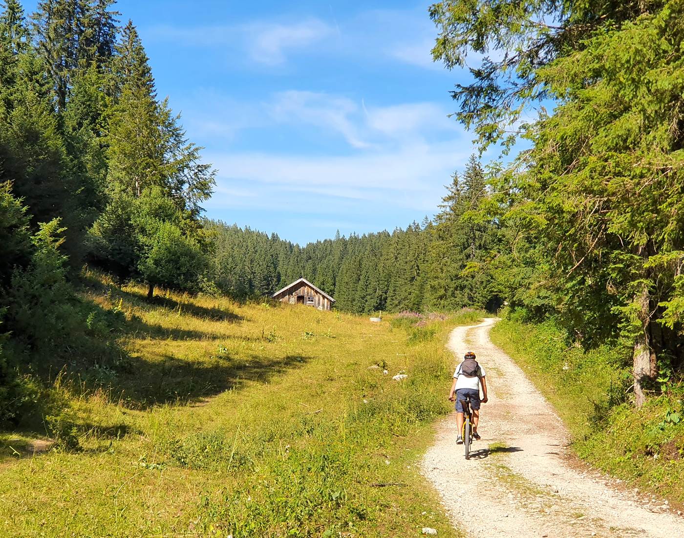 VTT ou Gravel dans les forêts du Haut-Jura