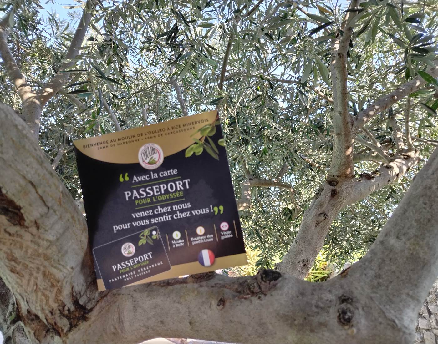 Carte avantages pour découvrir notre région lors de votre séjour à Le Coq du Nord-Mailhac