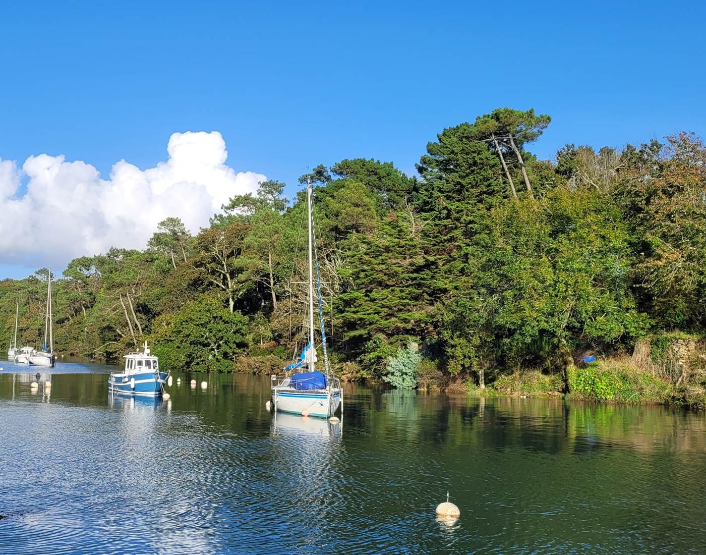 Port de Brigneau-page