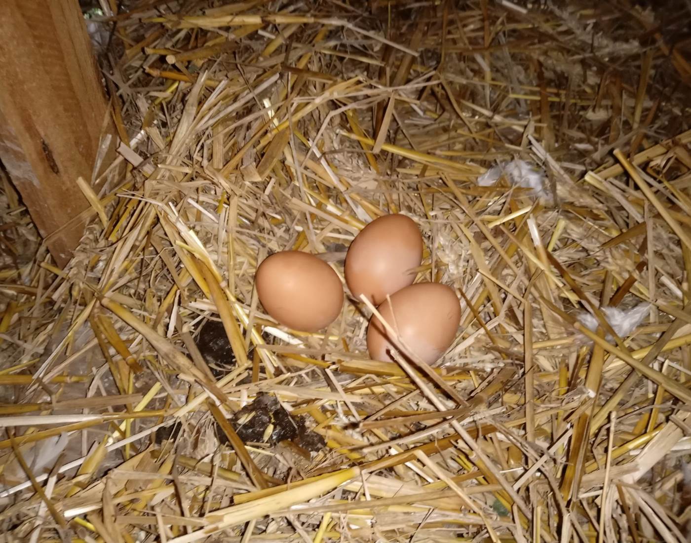 Le Répit de l'Oust - Les récoltes