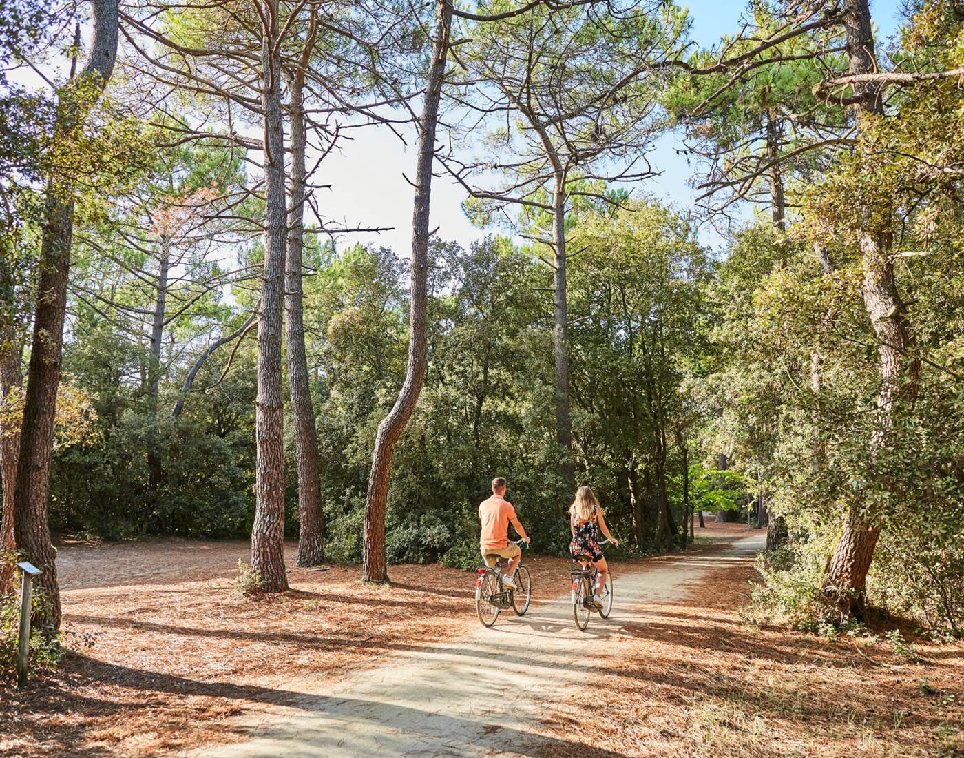 Vélodyssée OTPaysDeMonts19@alamoureux