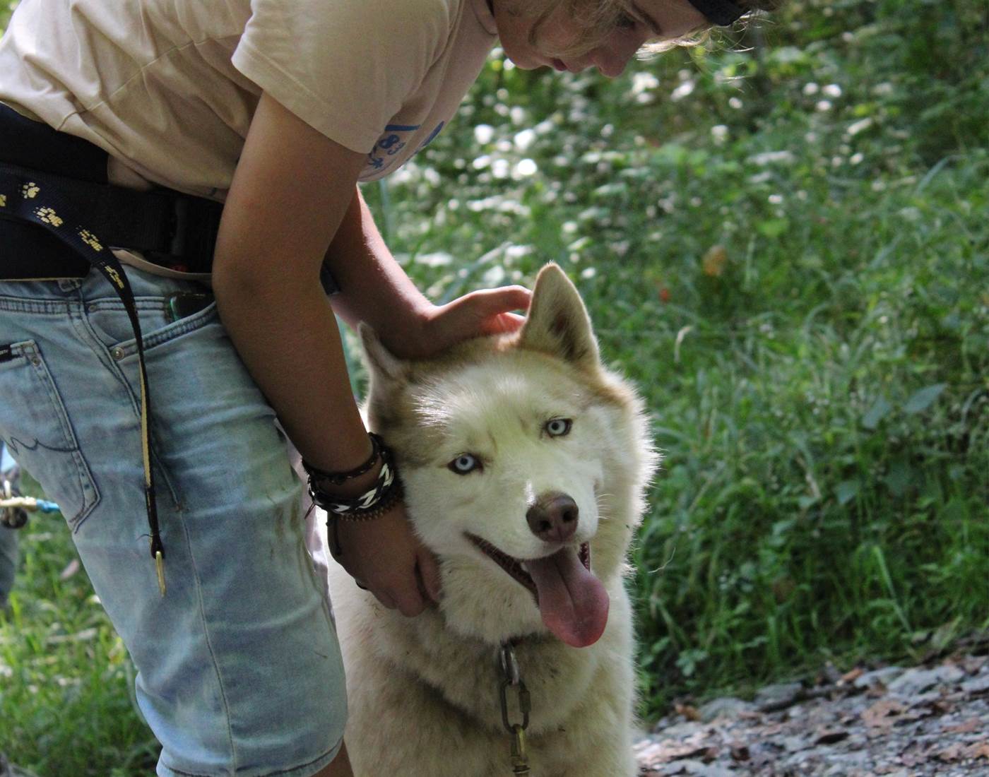 Contact avec le chien