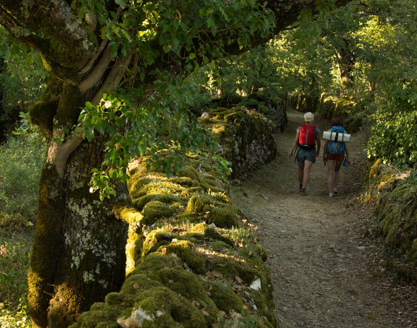 randonnee-balade_cmalikaturin_00064