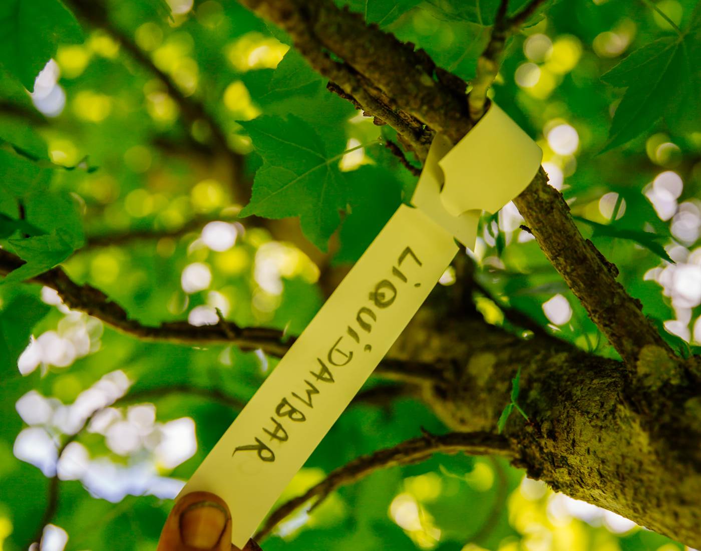 puyregonde-dordogne-tourisme-les-conteurs-81