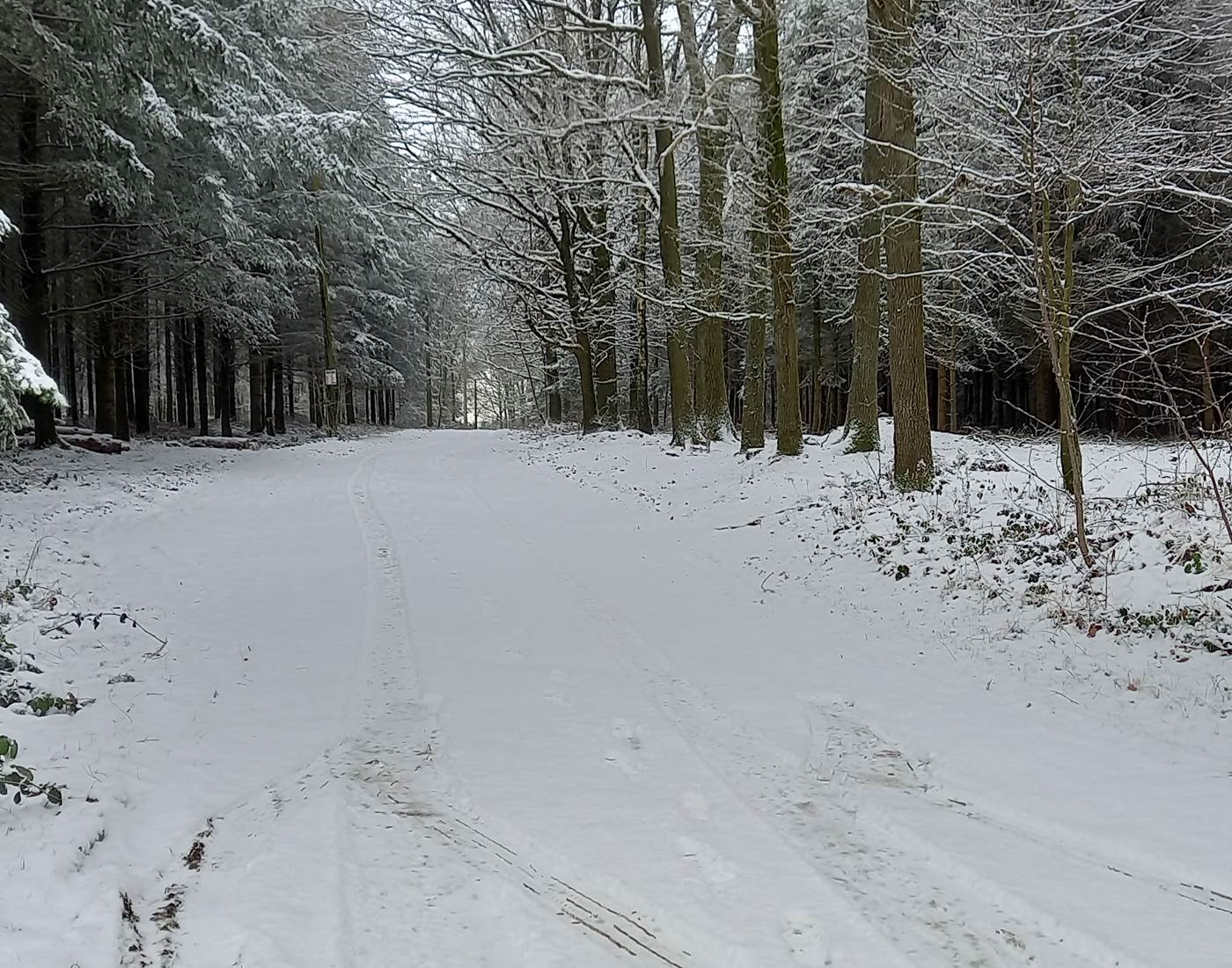 Une balade vivifiante