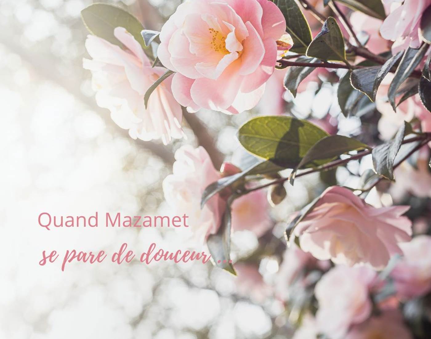 vacances nature Tarn