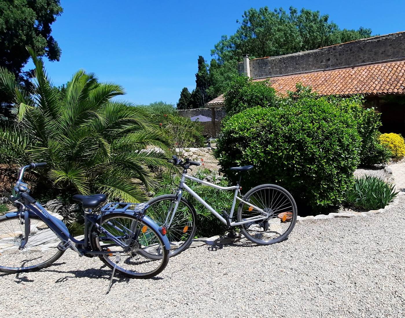 Partez à vélo le long du Canal du Midi