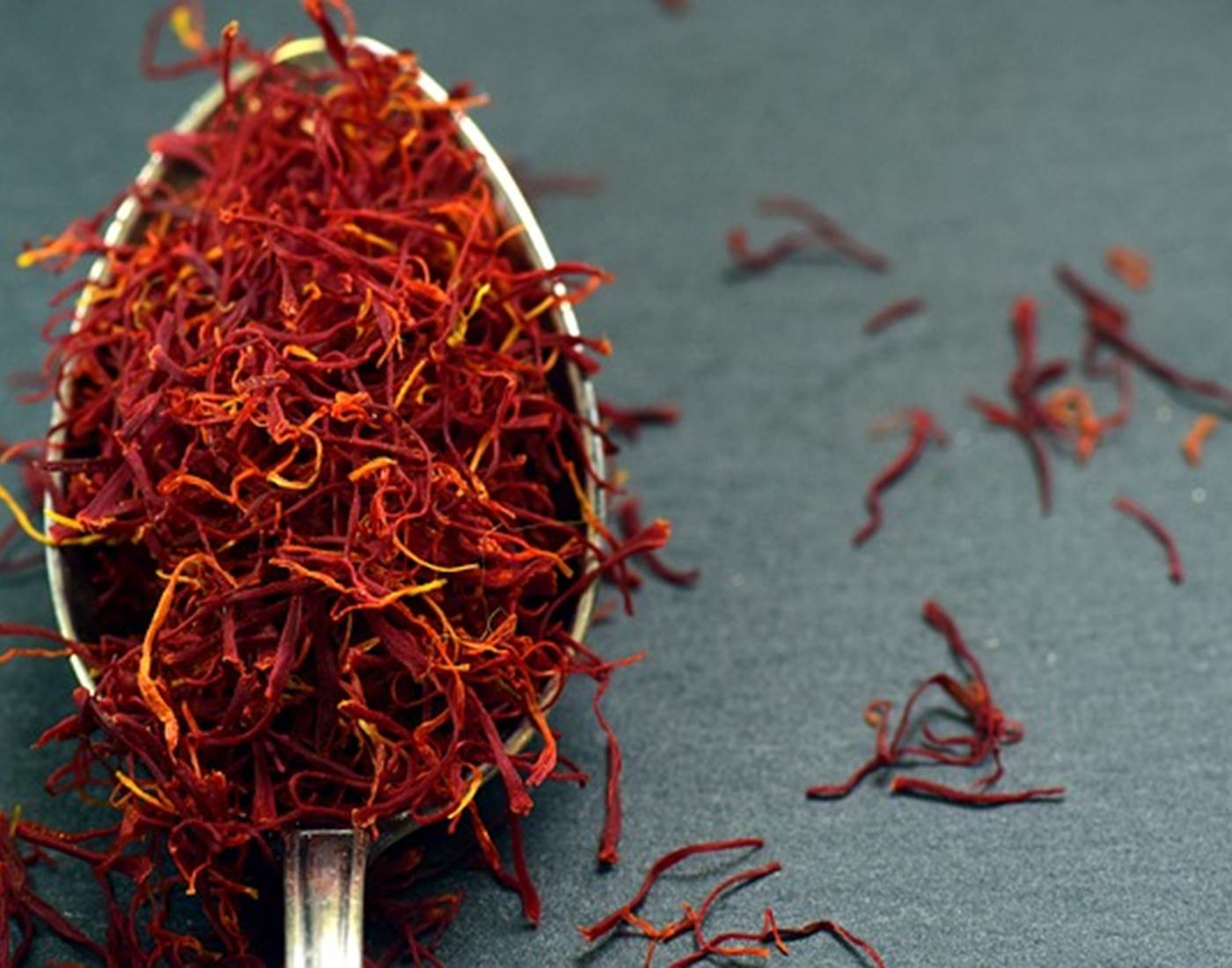 Découvrez Taliouine : Capitale du Safran au Maroc