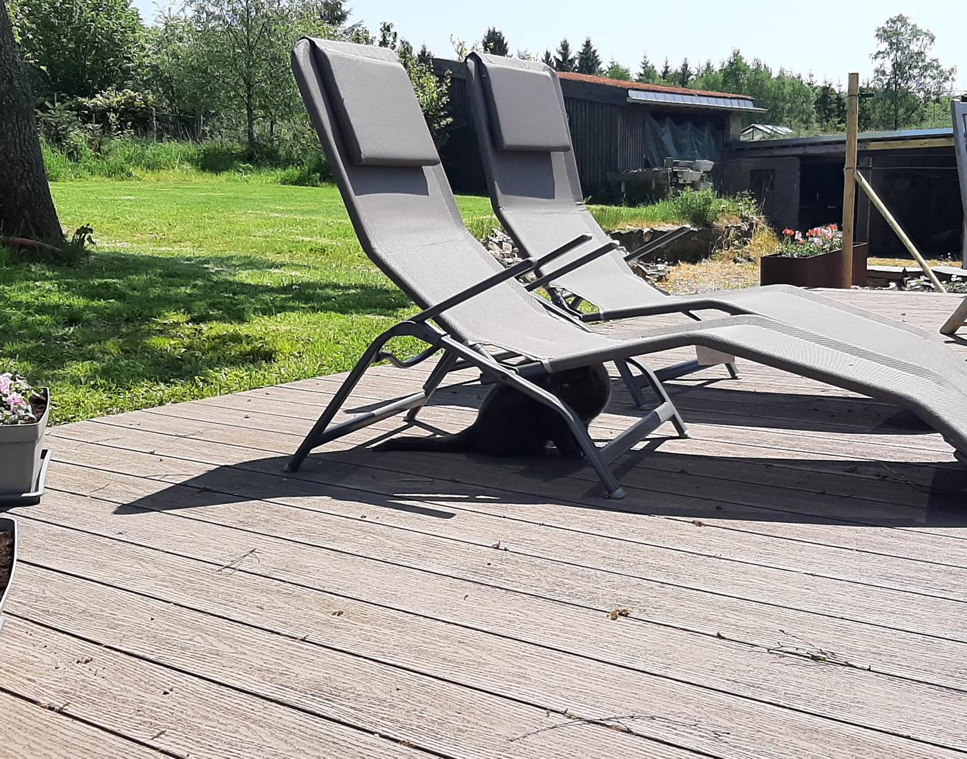 Terrasse des hébergements