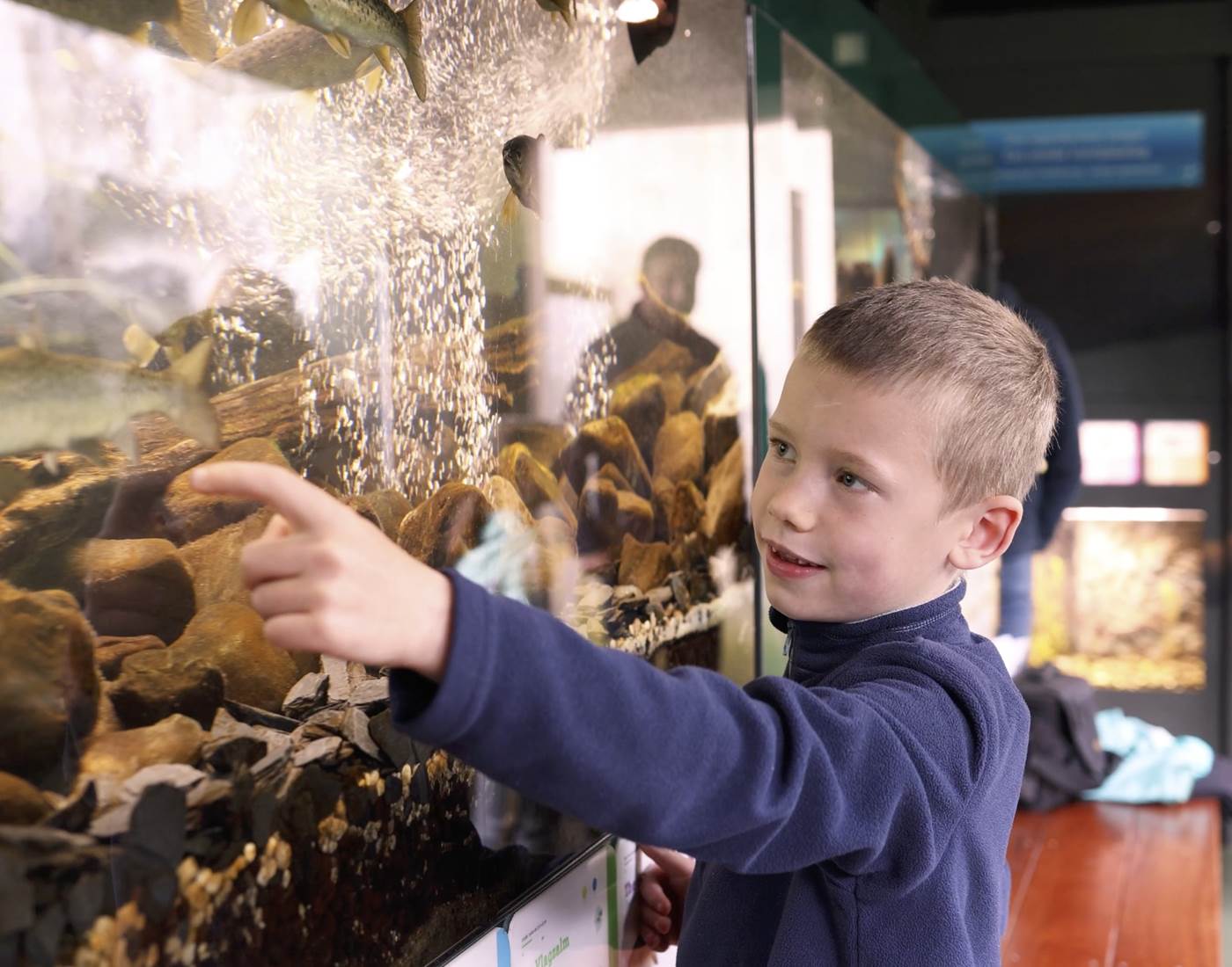 aquariums-poisson-riviere-hotton