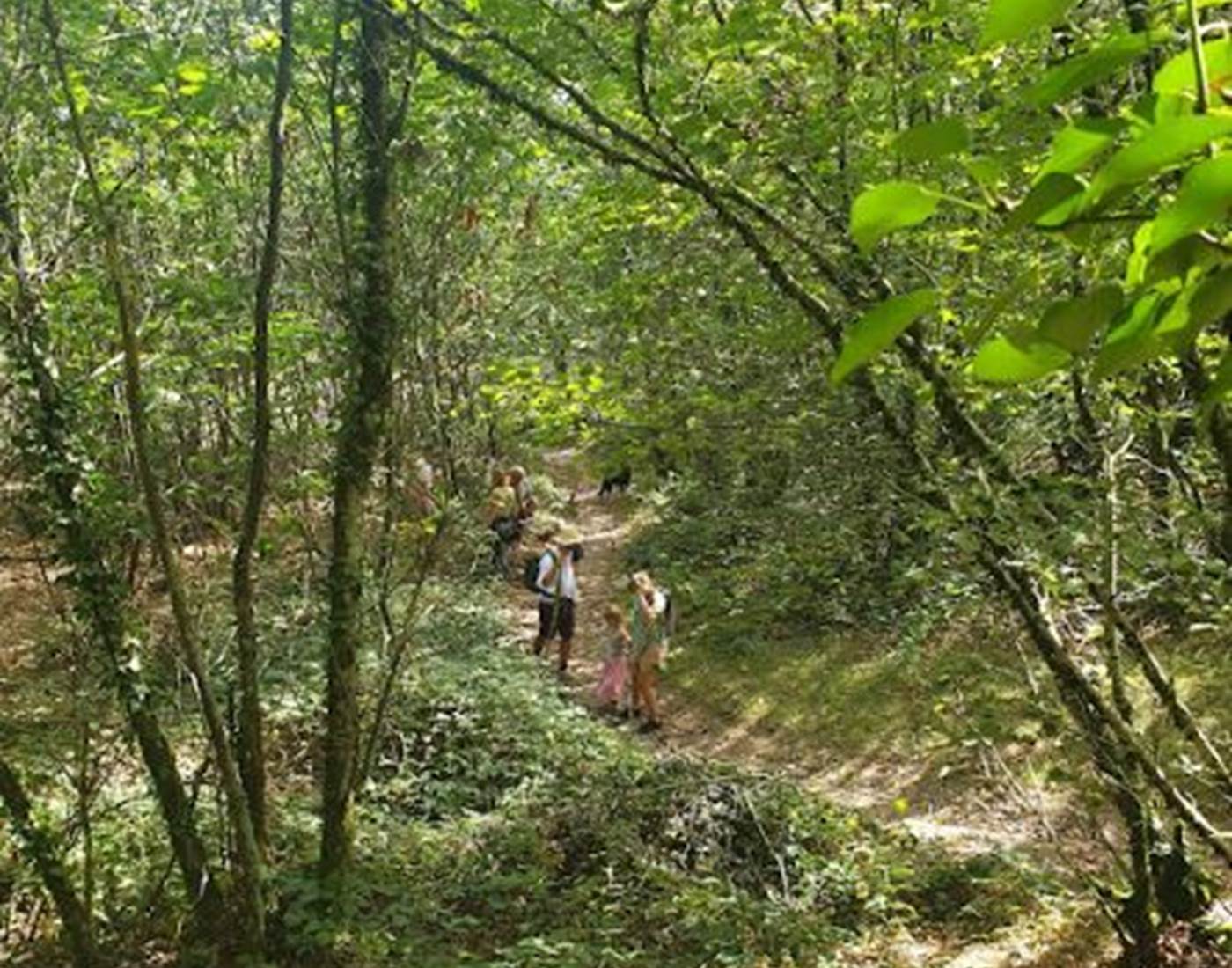 près de la ruine de chateau de courbéfy, à 5km ,vlakbij de ruine van het kasteel van Courbéfy,