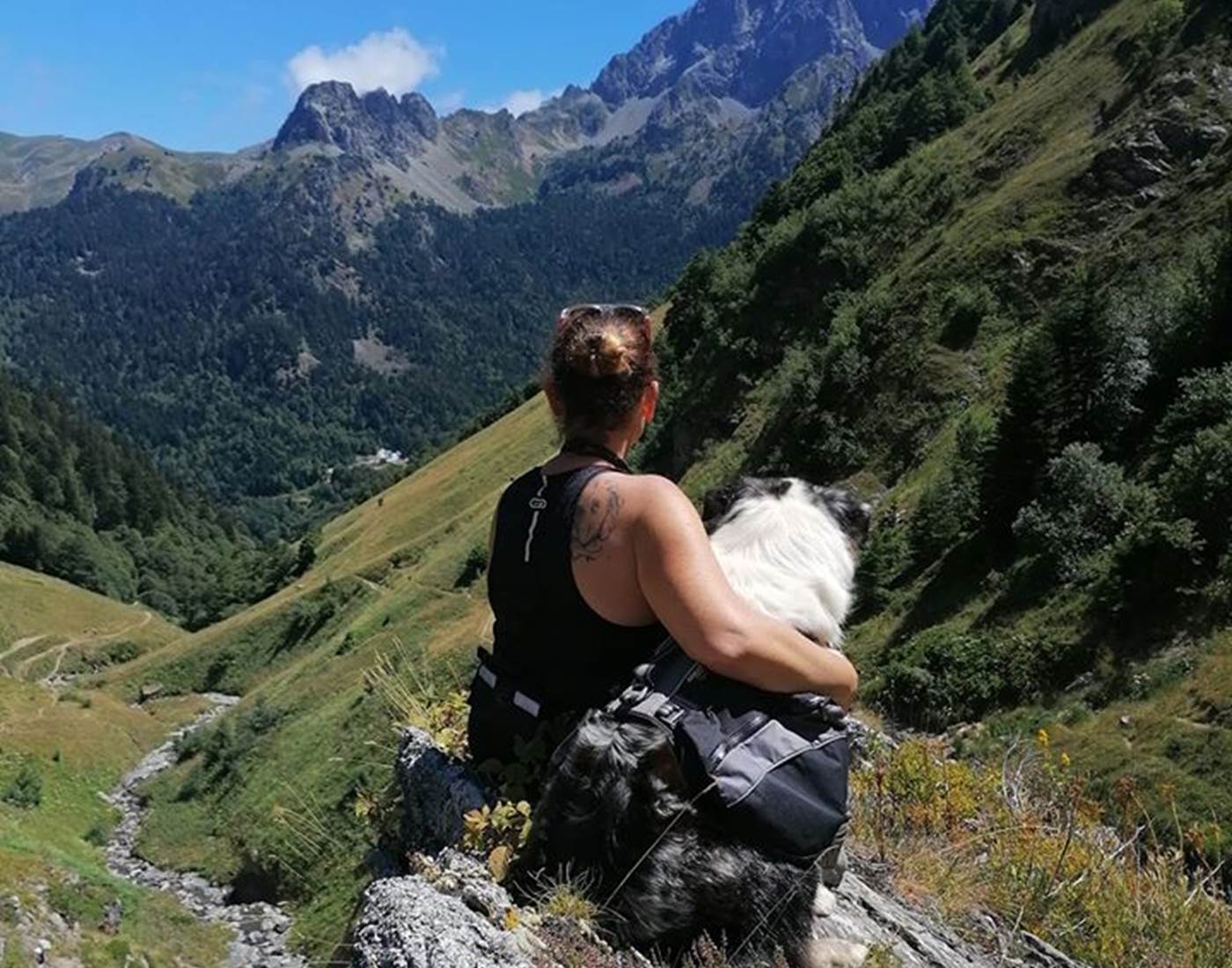 vacaciones-con-un-perro