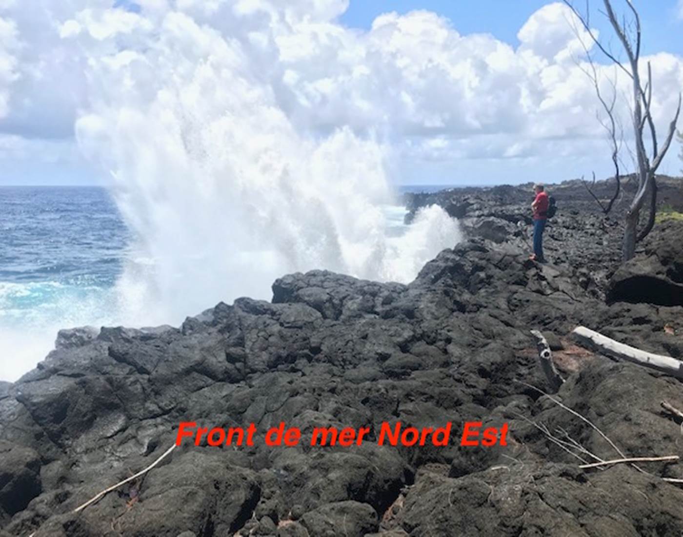 la cote déchirée de l'est