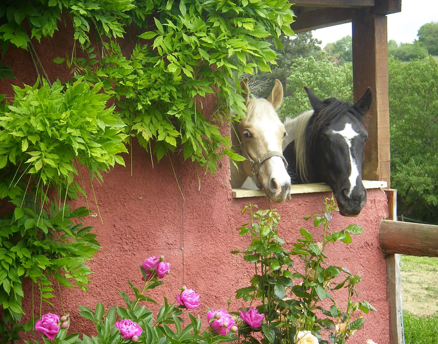 ROSA et son fils KENZO