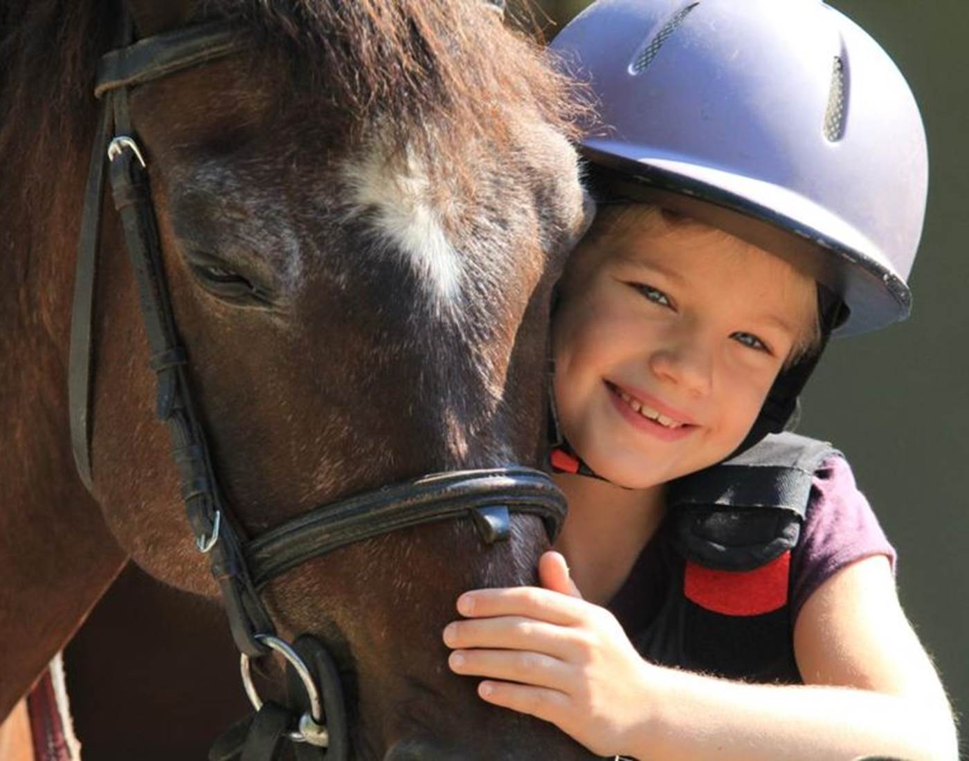 un merveilleux compagnon