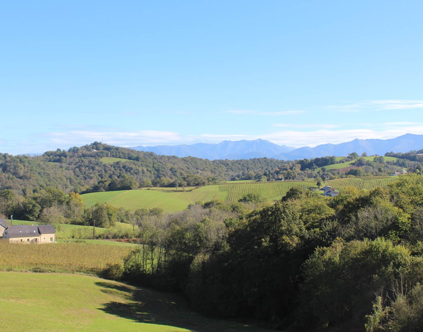 12 Haut-Béarn handiski