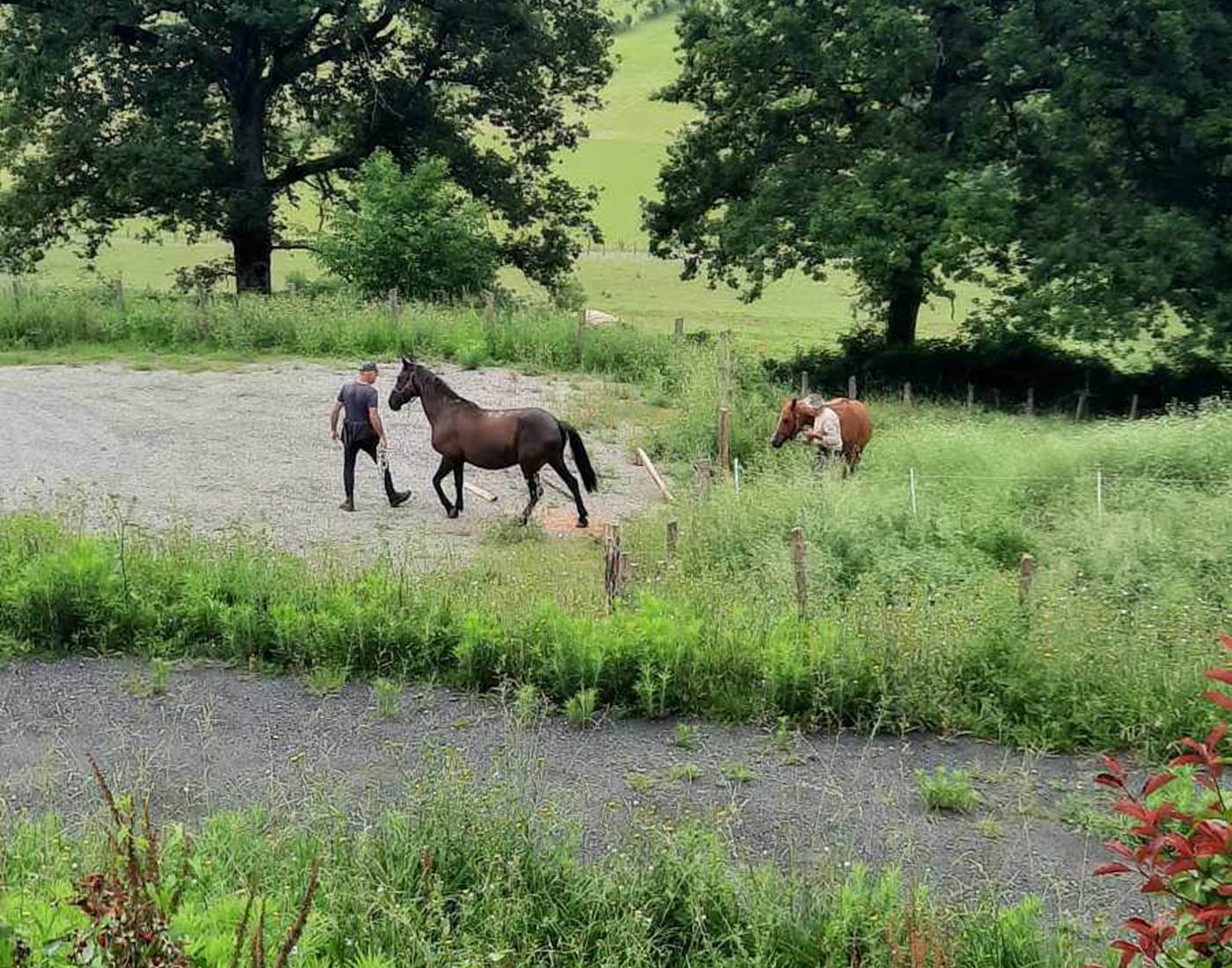 CHEVAUX PAYS BASQUE EQUESTRE-page