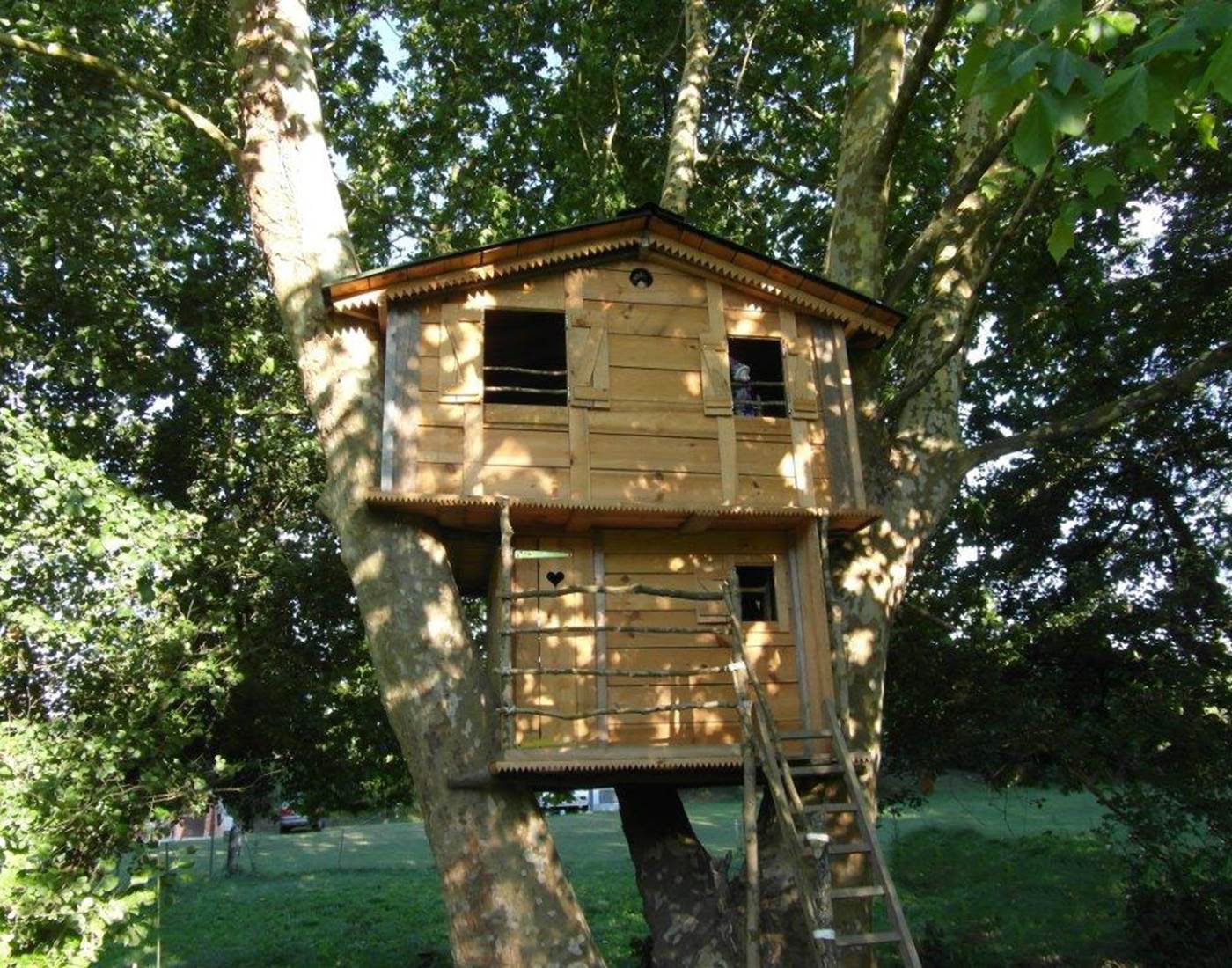 La cabane magique du grand platane