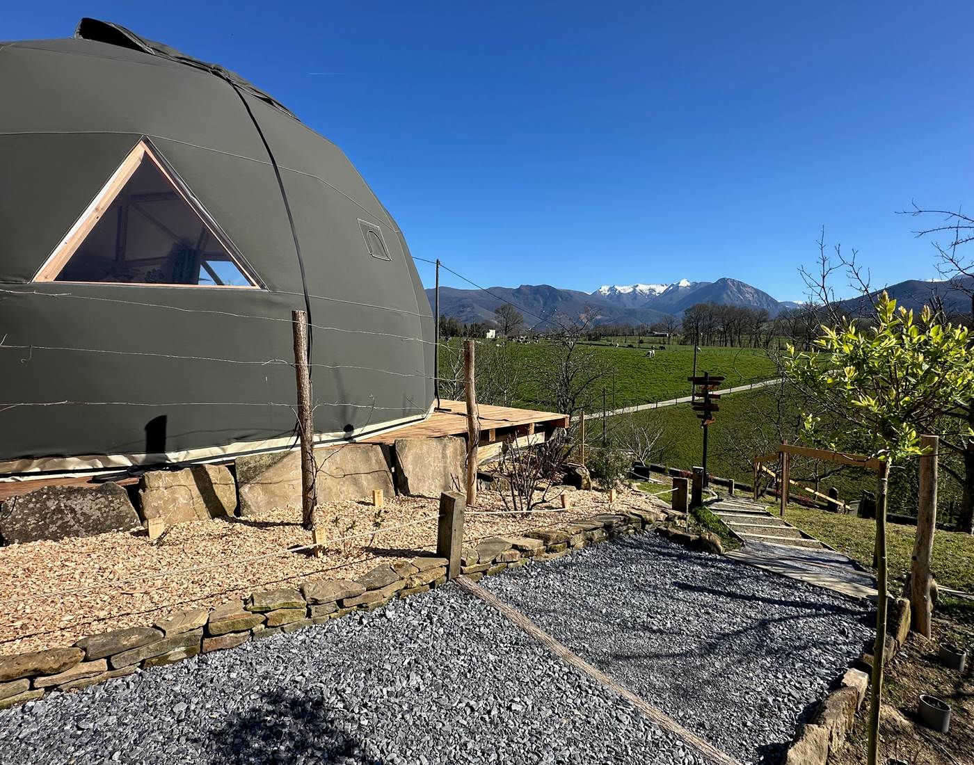 Petits fruits atypiques au pied du dôme