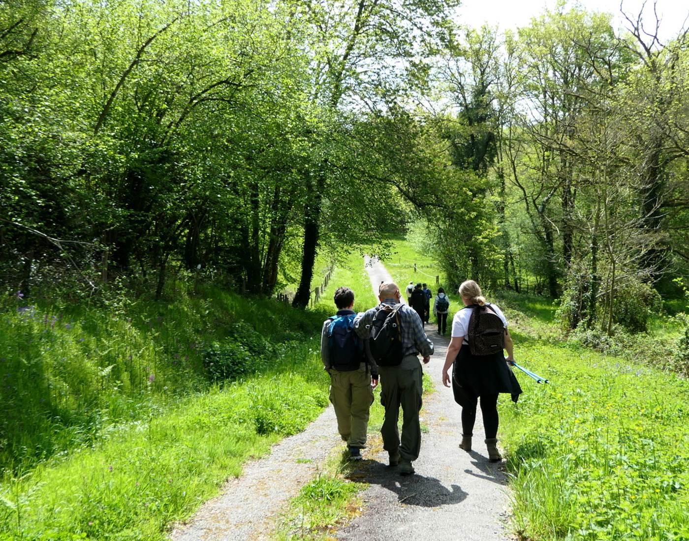 Balades pour découvrir les environs et s'oxygéner