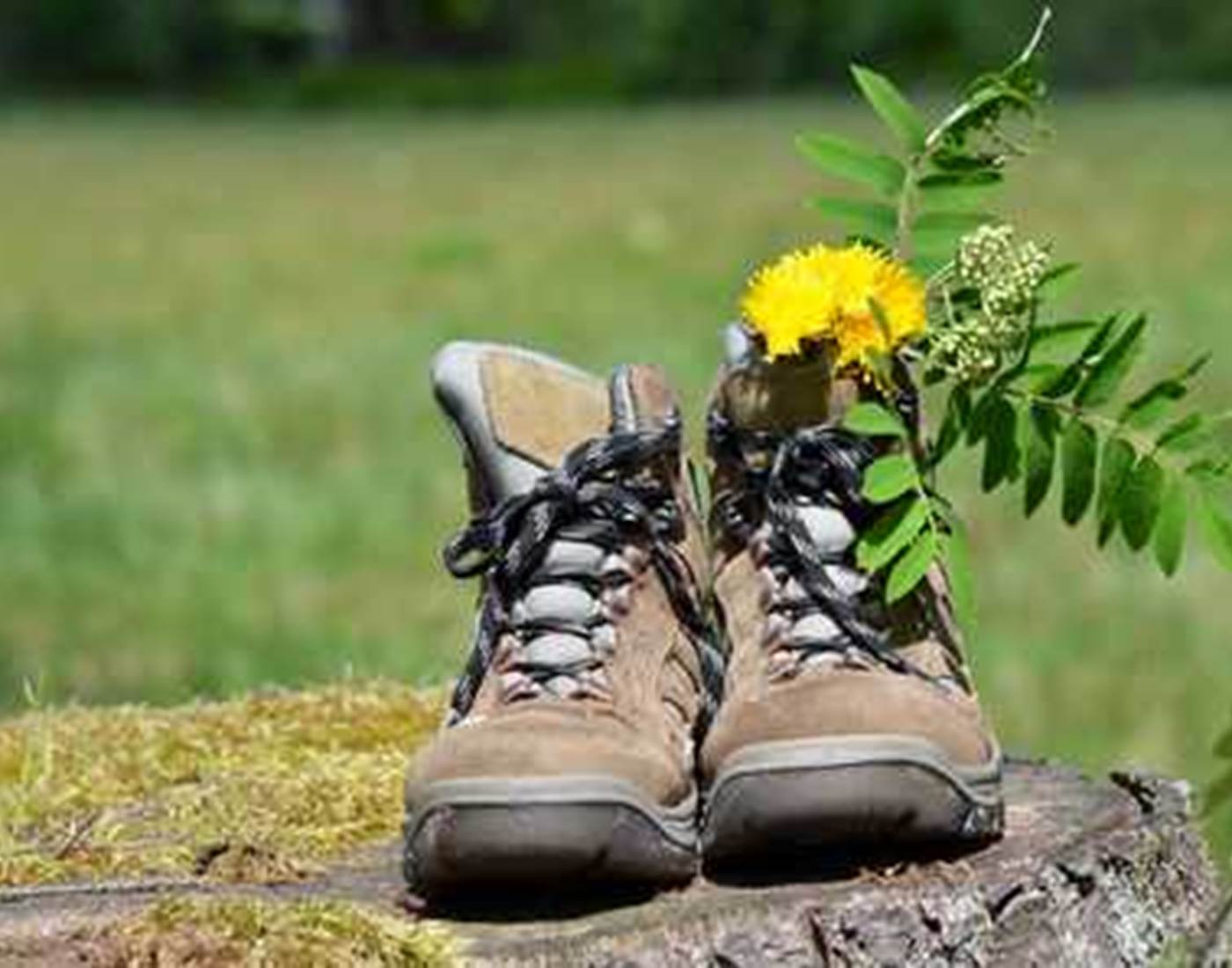 Randonnées sur les Grands Causses