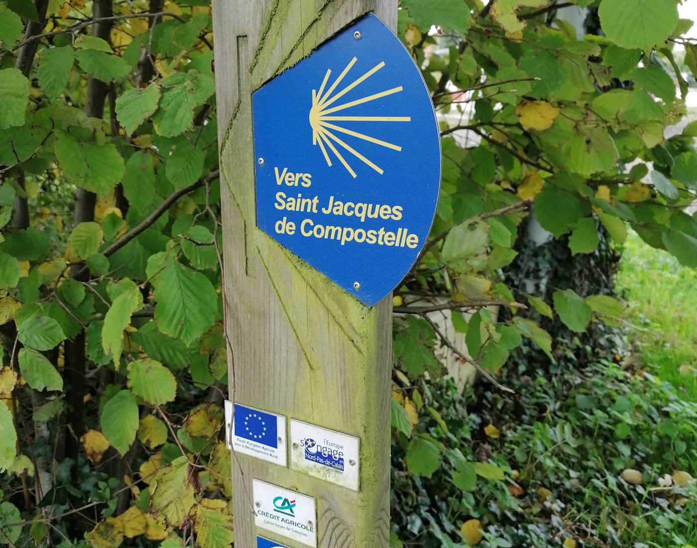 Sur la route de Saint Jacques de Compostelle