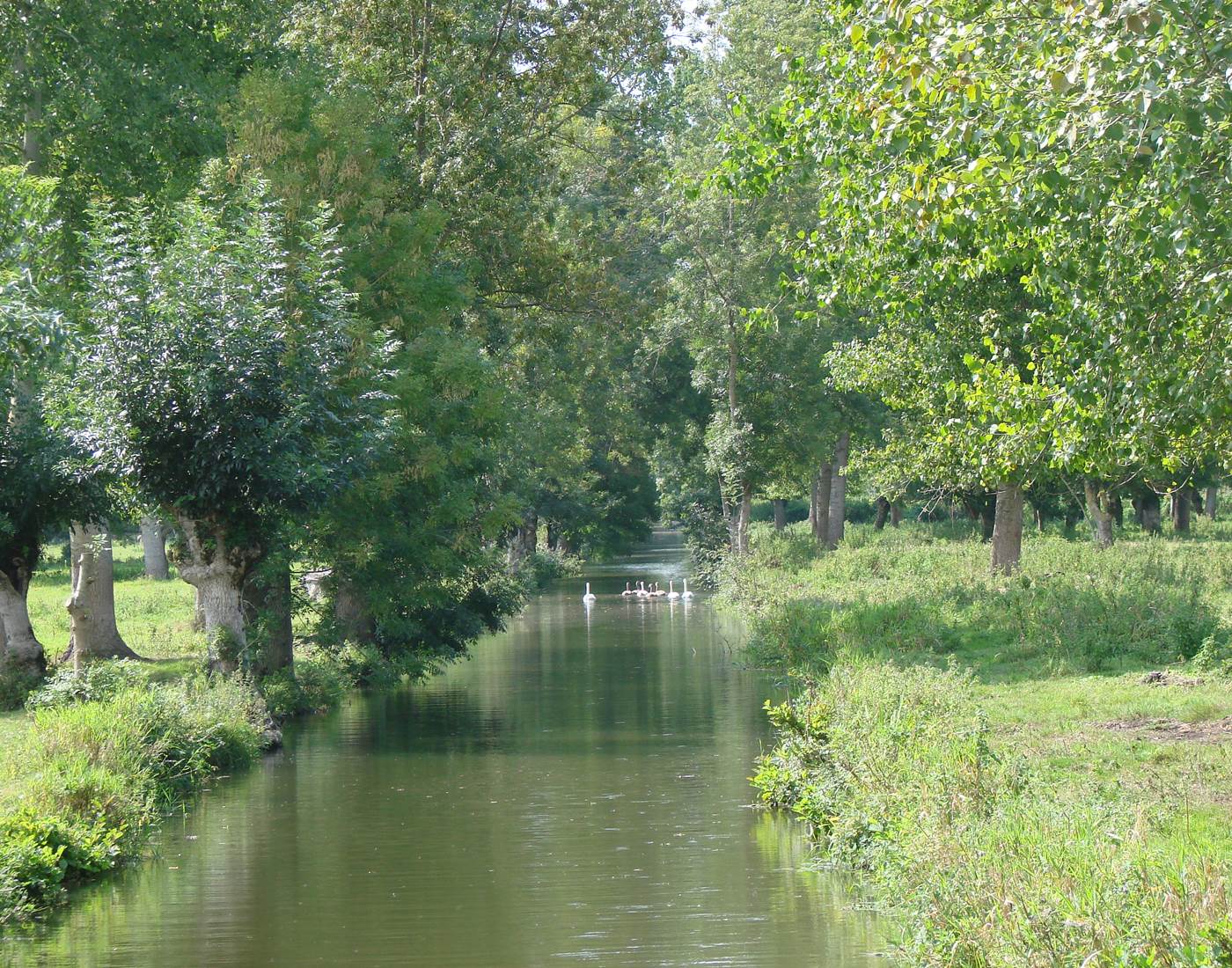 Le Marais Poitevin