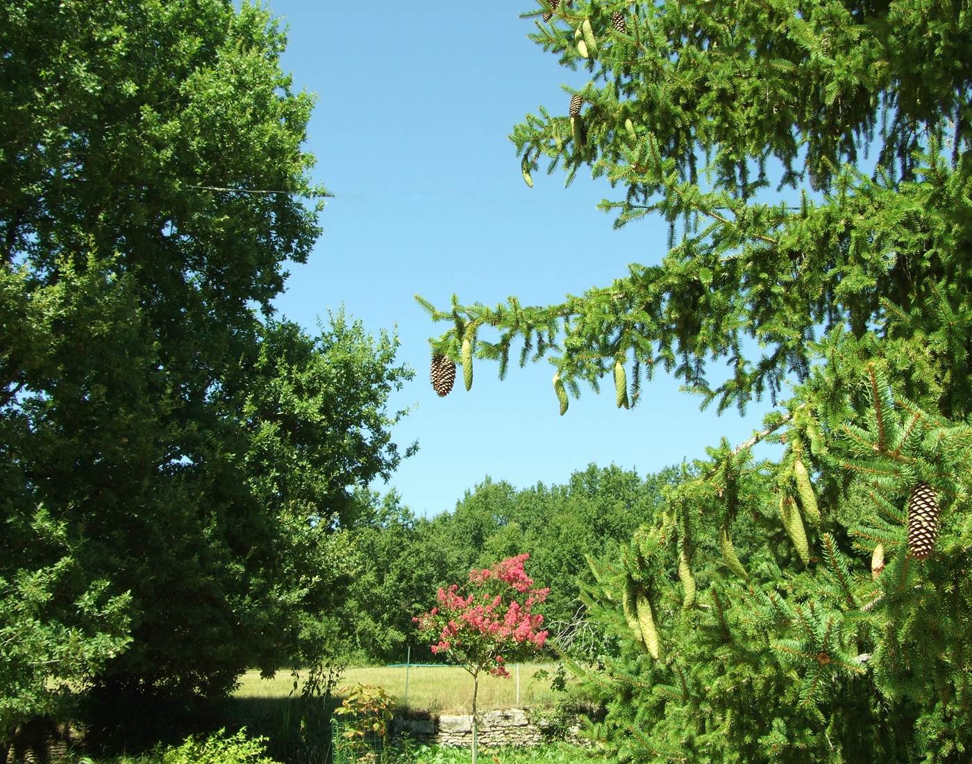 entree-chambres-dhotes-dordogne-page