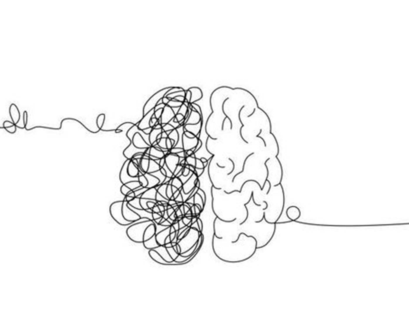 Notre cerveau décide de tout et on peut changer à tout âge.-page