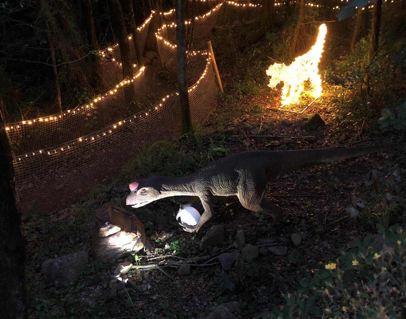 Parc DINOPEDIA illuminé en soirée