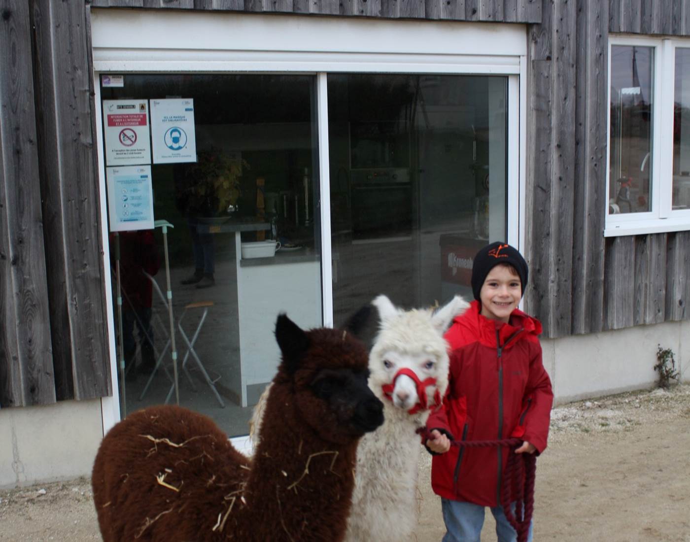 alpagas_enfants_ferme