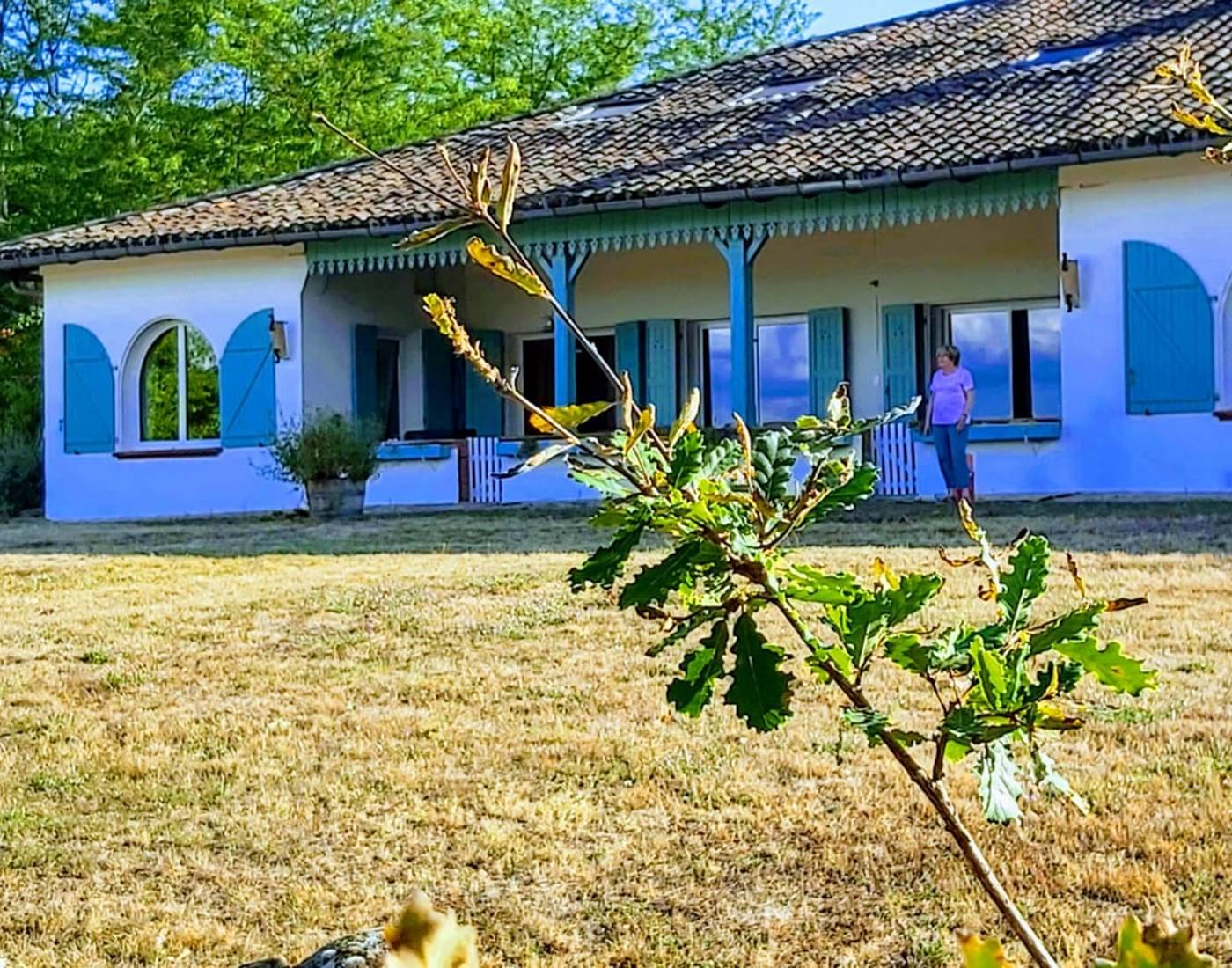Un lieu ou l'on peut voir pousser les arbres