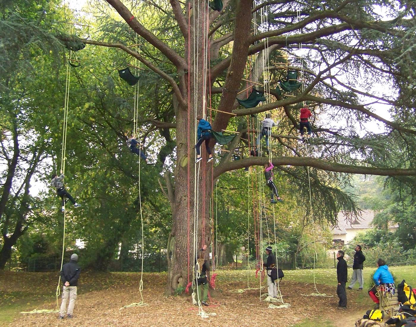 Le dédale des cimes
