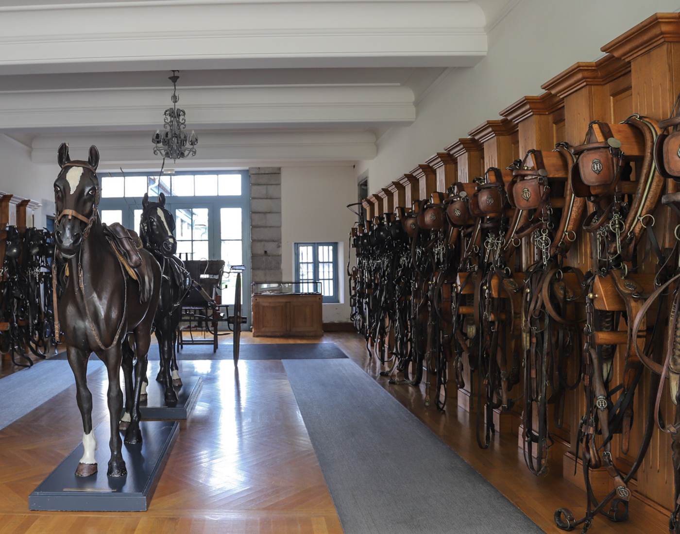 Le Haras de Tarbes-page