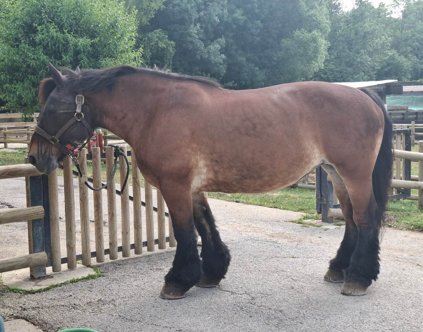 Ferme pédagogique de la Béchère