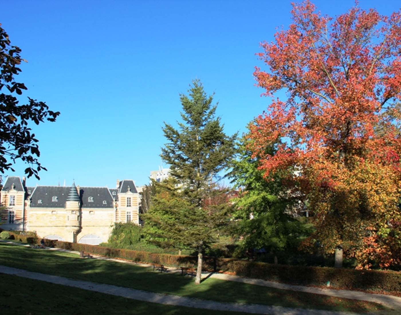 petit-jard-chalons-champagne-chateau-marche-automne