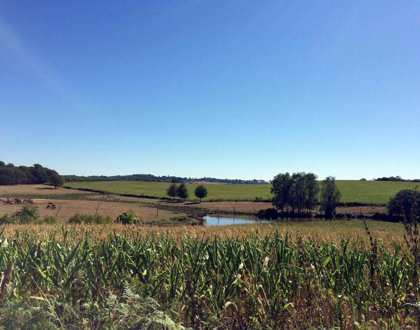 tour des éléphantes 4.5 km, olifantenrondje
