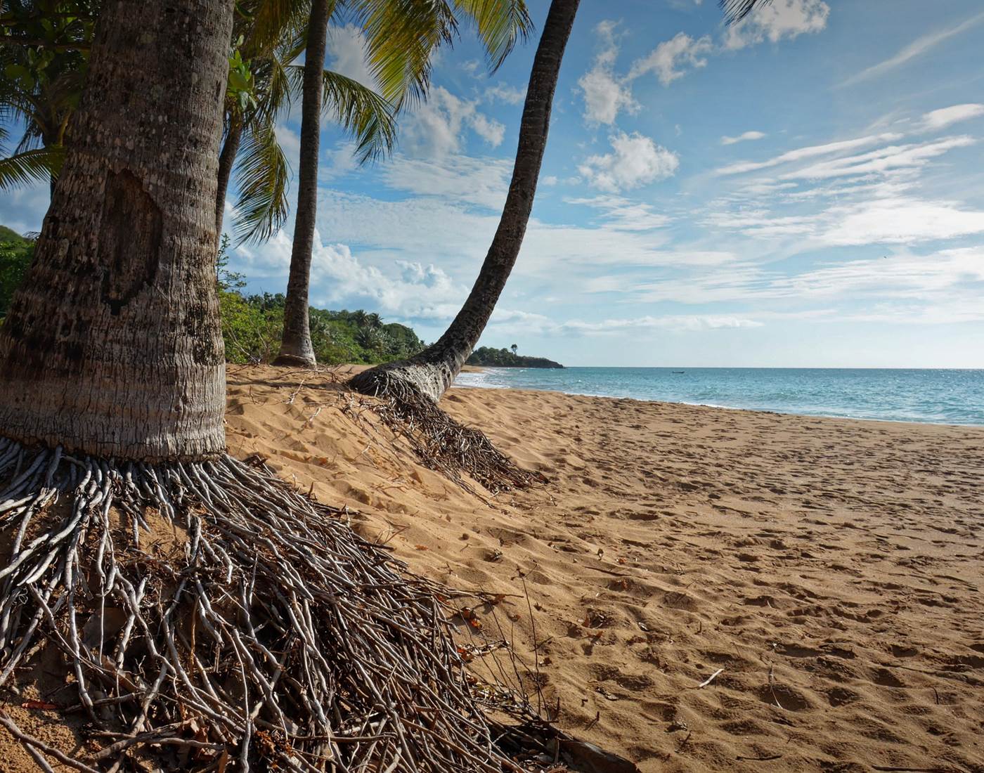Gite_Rural_Flane_Capesterre_Belle_Eau_Guadeloupe_Basse_Terre