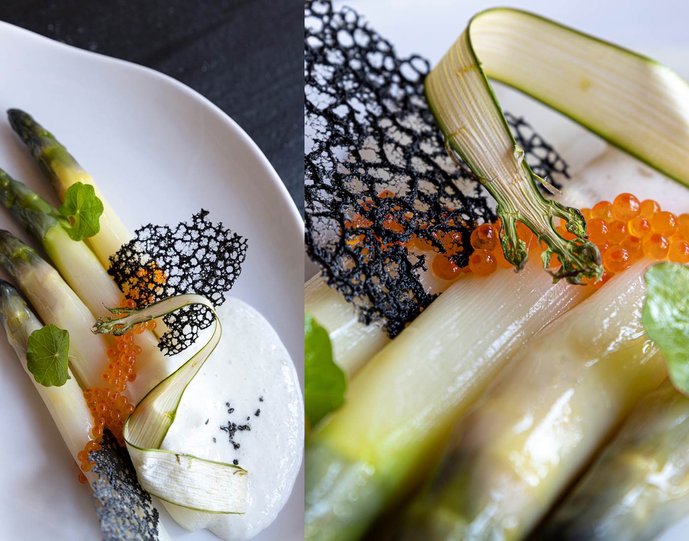 Création Cap de Castel