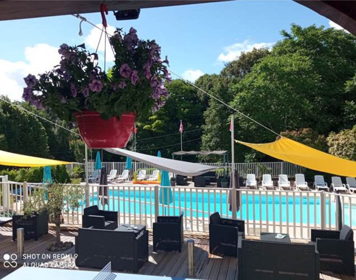 Des fleurs en terrasse pour égayer votre détente