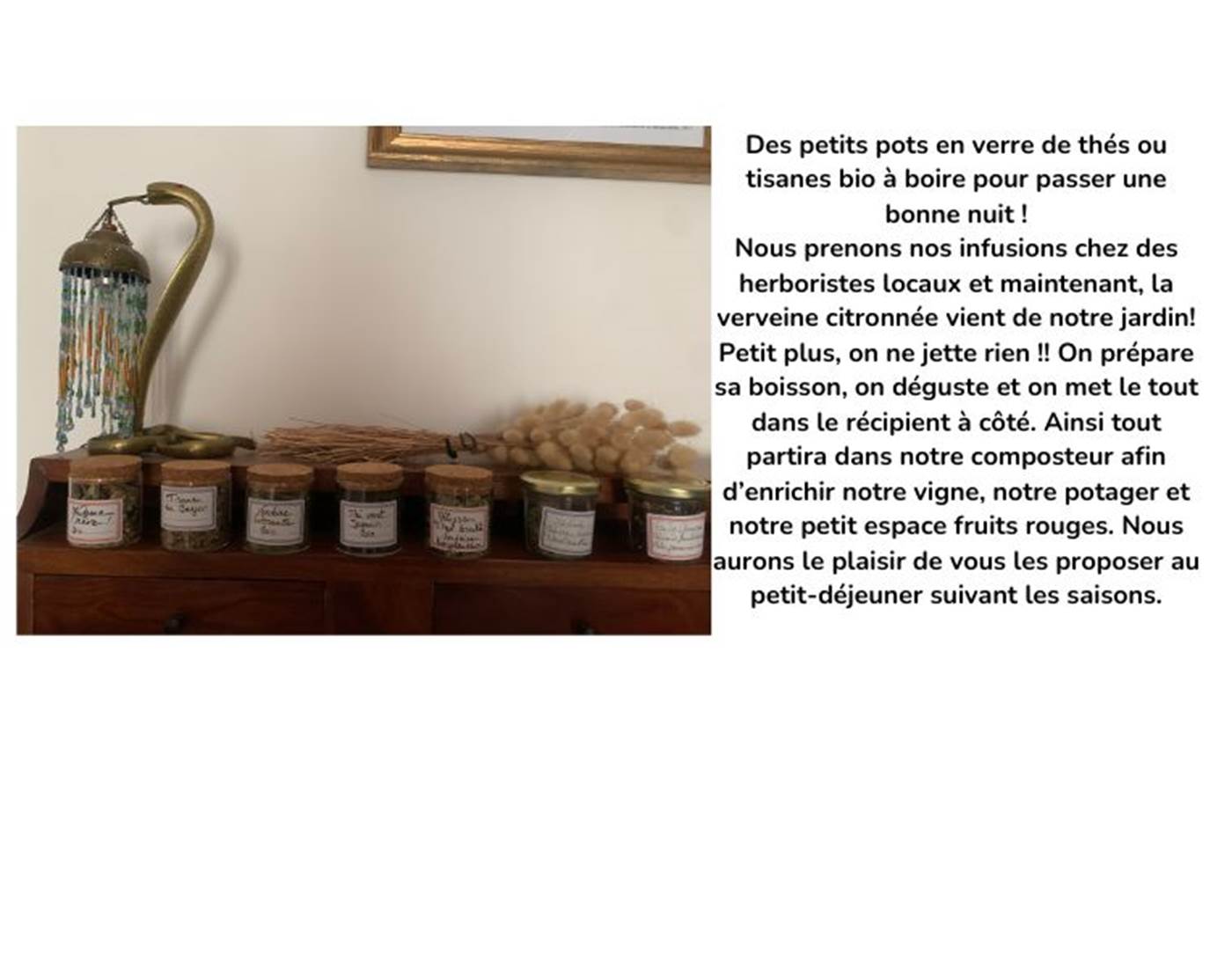 Infusions et thés compostables-page