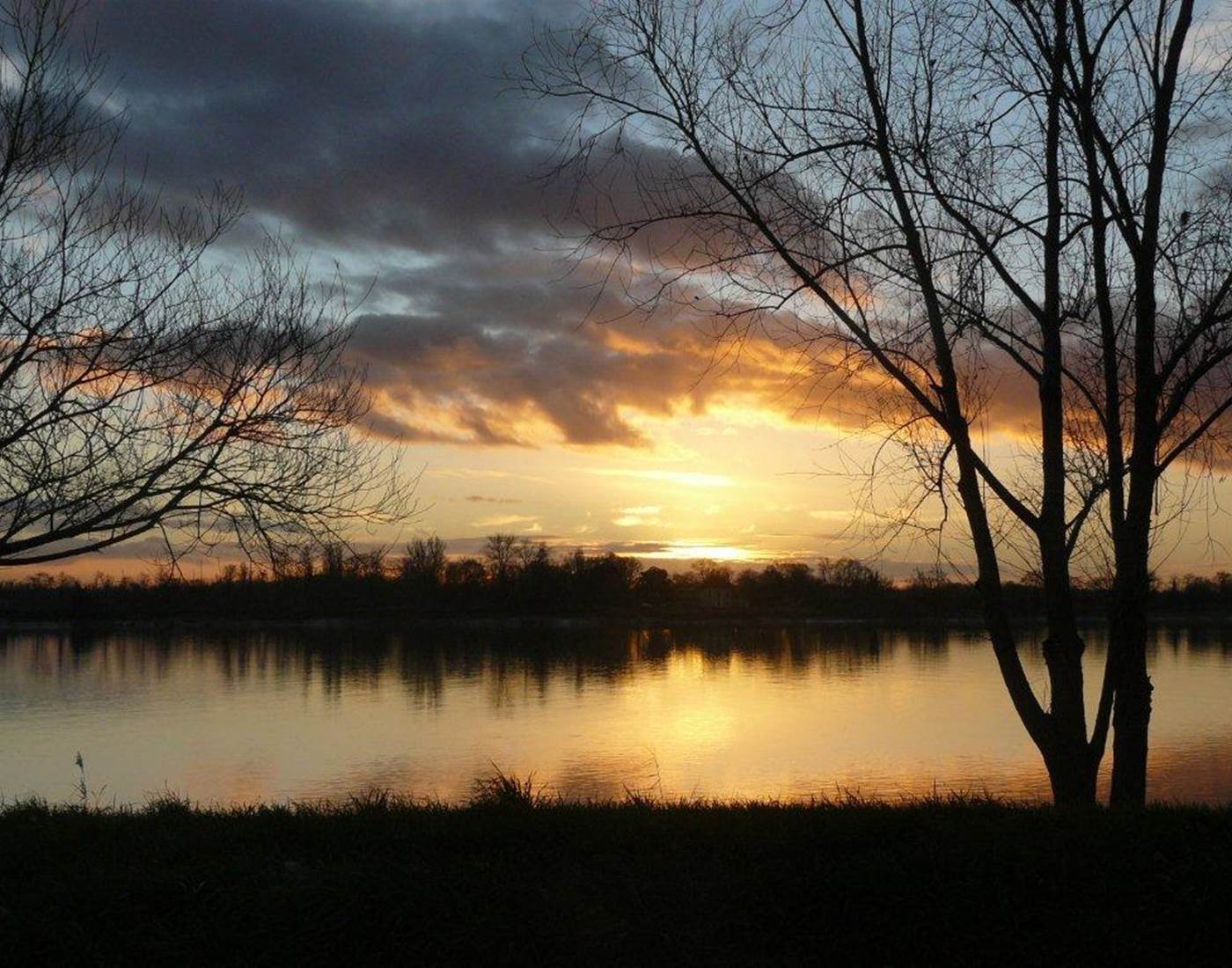 Guinguette, Plats à partager, Jazz, Concert, Produits locaux et frais, Vins Biodynamie, Nature, Vue sur Dordogne