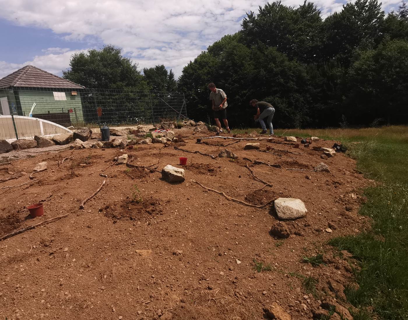 Plantation des aromatiques