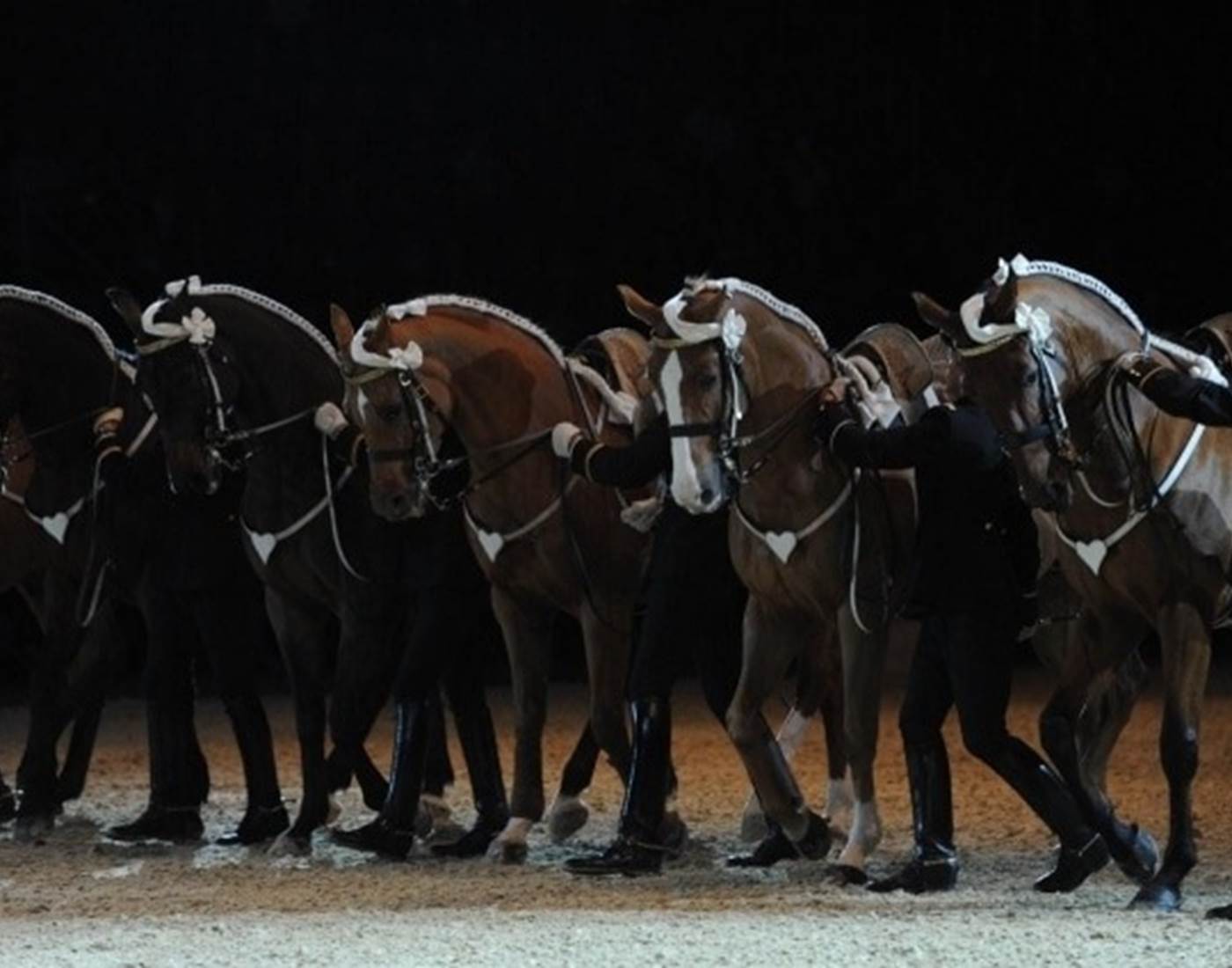 Le cadre noir de Saumur