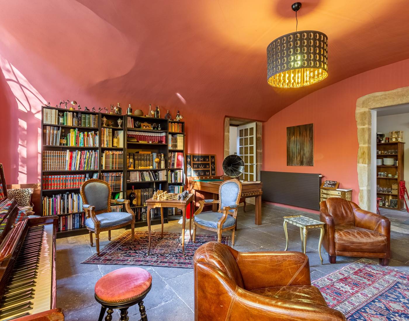 Salon bibliothèque et détente