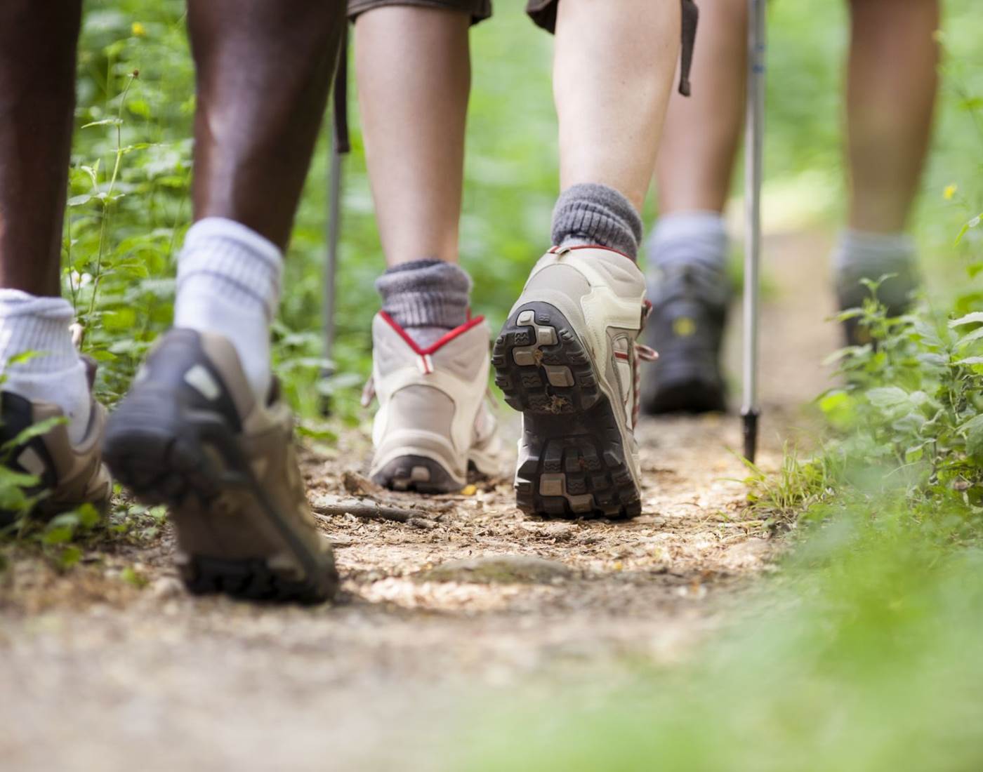 Marche ADEPS de Basse-Wavre