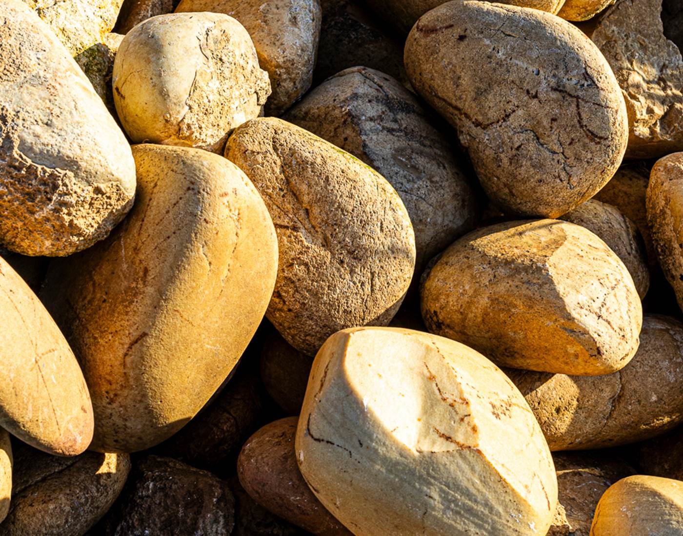 Terroir de galets roulés